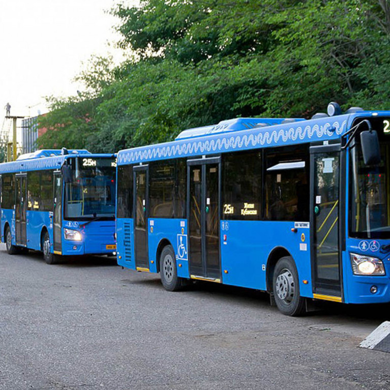 Объем парка автобусов на начало 2024 года