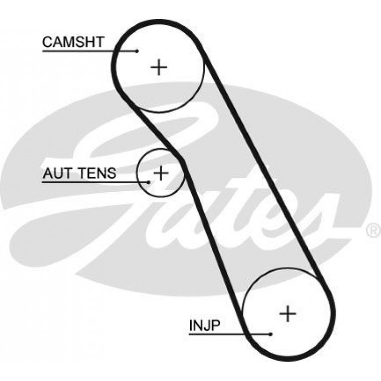 Ремень ГРМ FORD Focus 1,2,Galaxy,Mondeo GATES