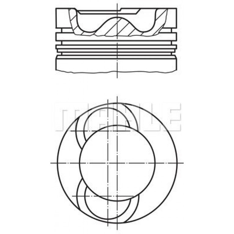 Поршнекомплект DAF WS